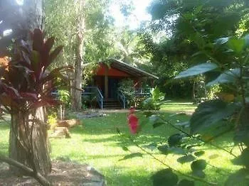 Pk'S Jungle Village Cape Tribulation Ostello