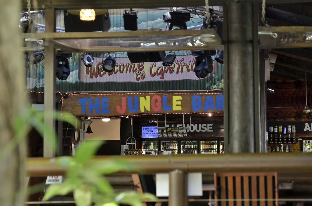 Pk'S Jungle Village Cape Tribulation Australia
