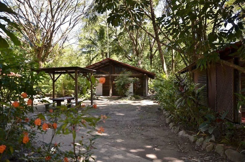 Ostello Pk'S Jungle Village Cape Tribulation