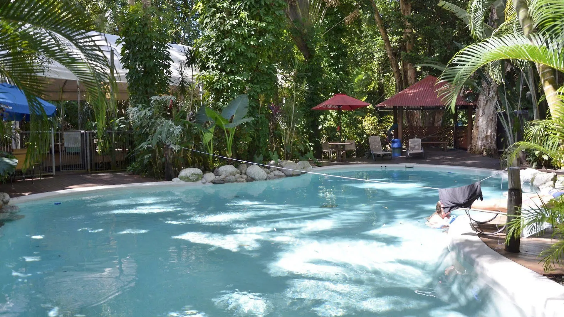 Ostello Pk'S Jungle Village Cape Tribulation